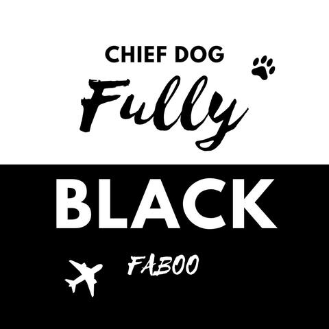 Fully Black (feat. Faboo)