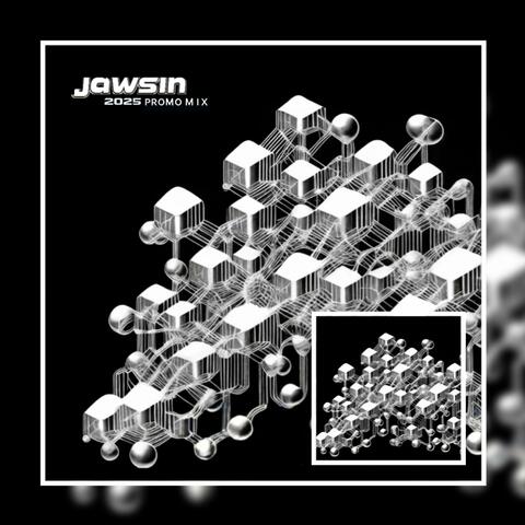 2025 PROMO MIX (WiP's N FLiP's)