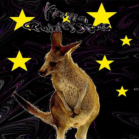Kangaroo 2 Space