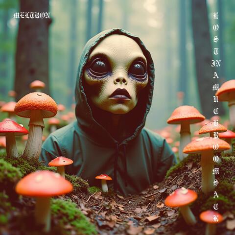 lostinamushroomsack
