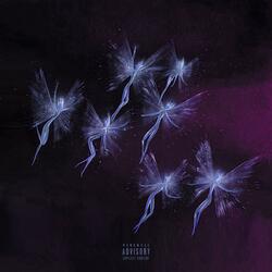 SUGARPLUM FAIRIES