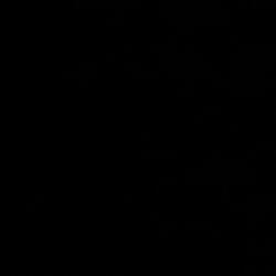 BEEN THRU (NO HOOK Pt. 2) (feat. Phil Bank$)