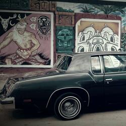 Midnight Phoenix (Radio Edit)