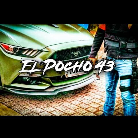 El Pocho 43