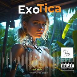 Beyby Exotica