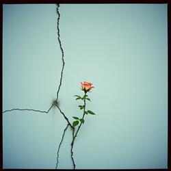 Chasing The Lies (V2)