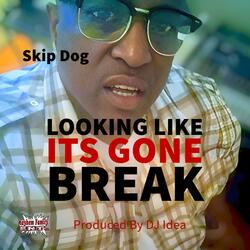 Looking Like Its Gone Break
