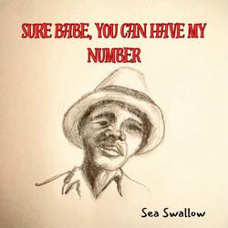Sure Babe, You Can Have My Number