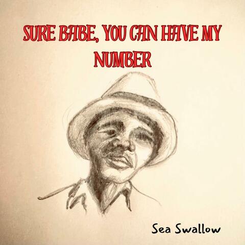 Sure Babe, You Can Have My Number