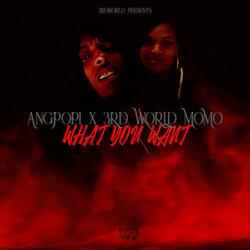 What You Want (feat. Angpopi)