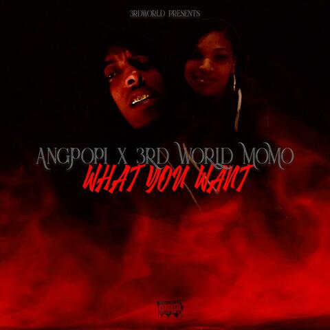 What You Want (feat. Angpopi)