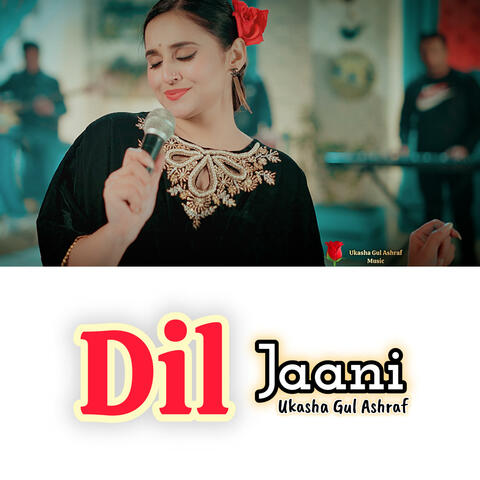DIL JAANI
