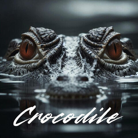 Crocodile