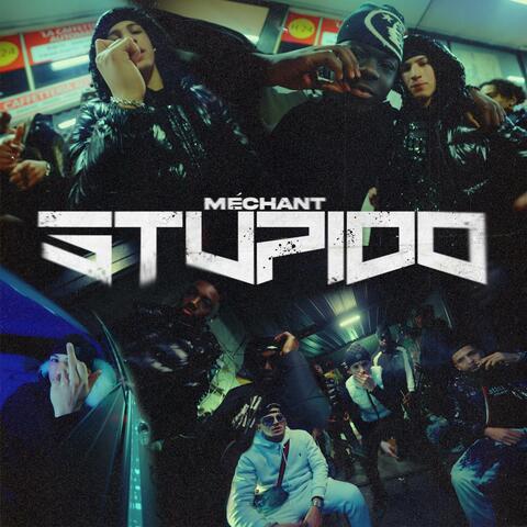 STUPIDO