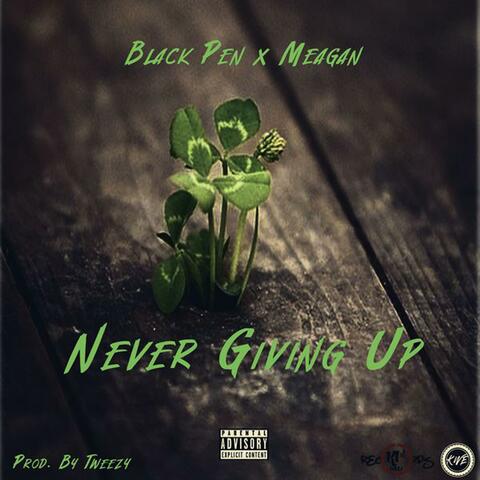 Never Giving Up (feat. Meagan M)