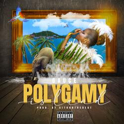POLYGAMY ISLAND