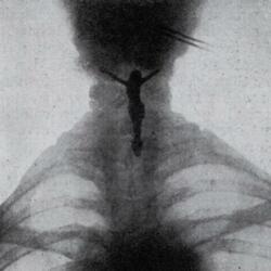 ich schwöre und gelobe