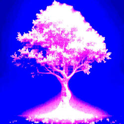 σρυšƚěɳá ρʅαɳҽƚα