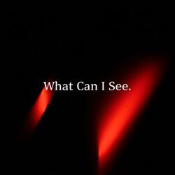 What Can I See