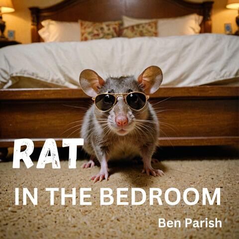 Rat In The Bedroom