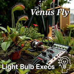 Venus Fly