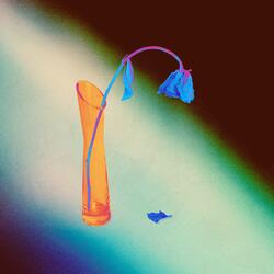 maybe. but i hope i may.