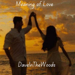 Meaning of Love