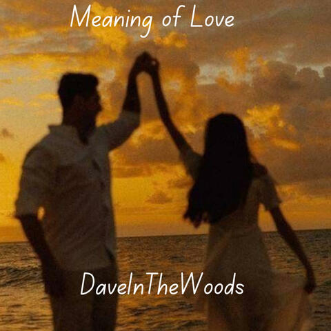 Meaning of Love
