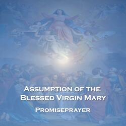 Assumption of the Blessed Virgin Mary