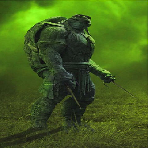 Turtles