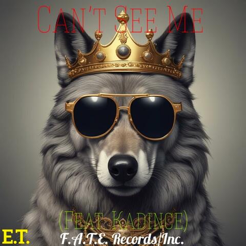 Can't See Me (feat. Kadince)
