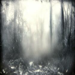 Stasis