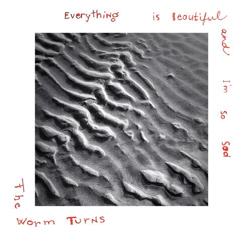 Everything Is Beautiful And I'm So Sad