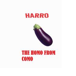 The Homo From Como