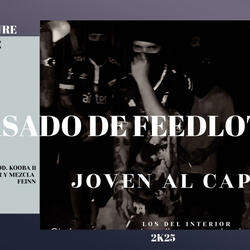 asado de feedlot