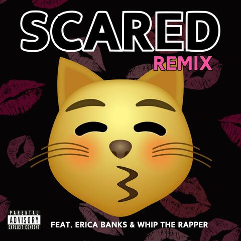 Scared (feat. Erica Banks & Whip The Rapper) [Remix]