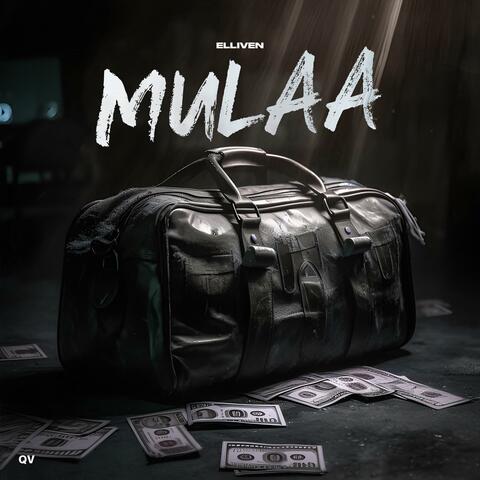 Mulaa