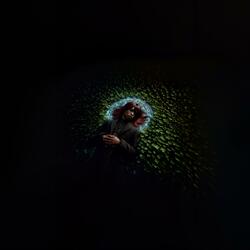 Flying In My Dreams (Radio Edit)