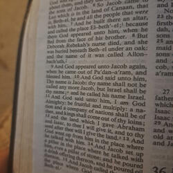 Forgiven but not Forgotten