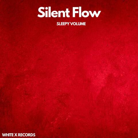 Silent Flow