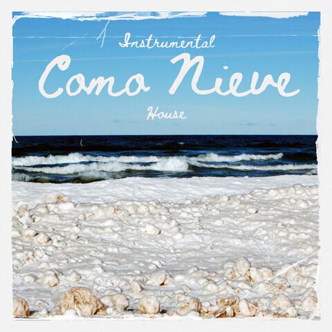 Como Nieve House (Instrumental Version)