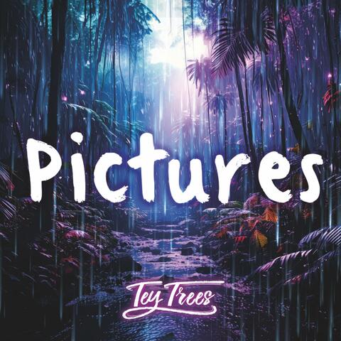 Pictures (feat. Na'Me)