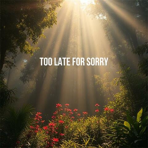Too Late for Sorry (feat. Frost)