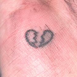 Without You (Dreams)