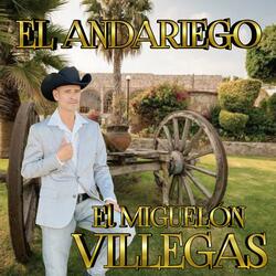 EL ANDARIEGO