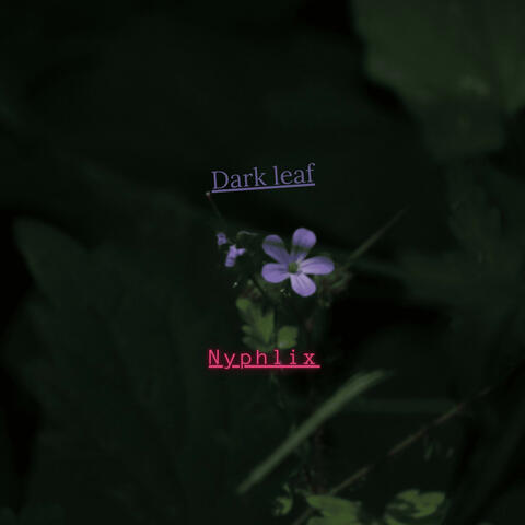 Dark leaf
