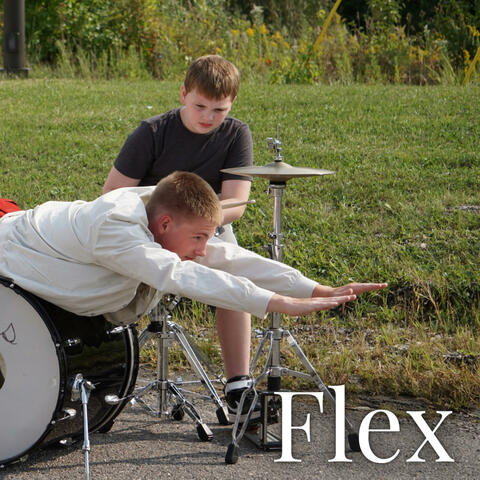 Flex (Competishain)