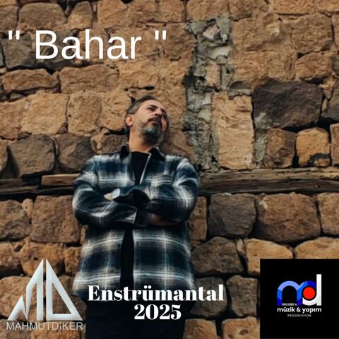 Bahar
