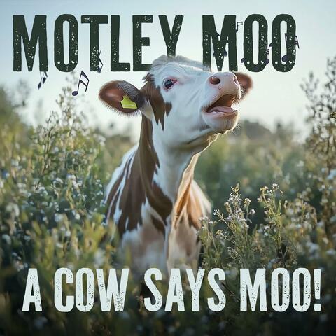 A Cow Says Moo!