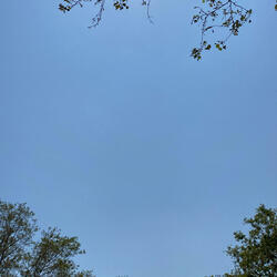 Un cambio real (Extended live set)